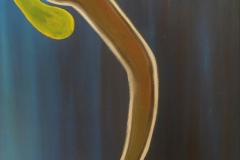 ART WORKS - NISARG AHIR
